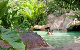 Lost Spring Thermal Pools