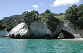 Cathedral Cove