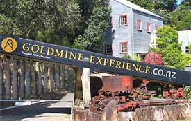 Thames Goldmine Experience