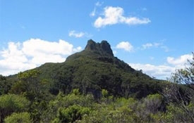 The Pinnacles Track