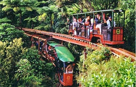 Driving Creek Railway